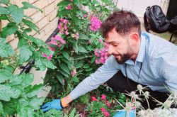 Huntsman Pest Control – Servicii Deratizare Londra, UK