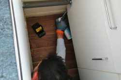 Huntsman Pest Control – Servicii Deratizare Londra, UK