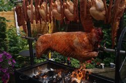 Protap LTD – Protap şi Gratare Profesionale in UK