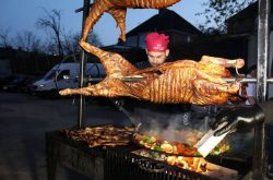 Protap LTD – Protap şi Gratare Profesionale in UK