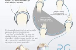 Daniel – Fizio Kineto Terapeut Roman Londra